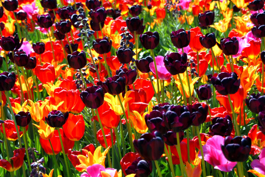 635998 (a): :2600x1740